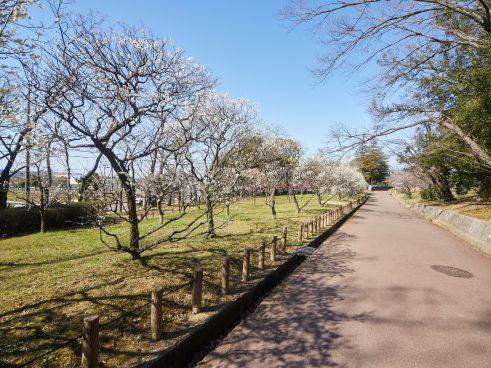 Kozen Park