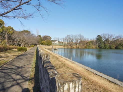 Kamotani Park