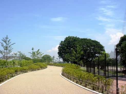 浅香山緑道・公園