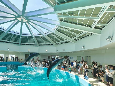 ノアドルフィンドーム